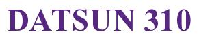 Rendering -DATSUN 310 - using Times New Roman Bold