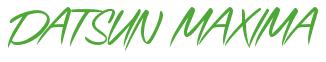 Rendering -DATSUN MAXIMA - using Speed Stroke