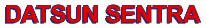 Rendering -DATSUN SENTRA - using Arial Bold