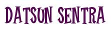 Rendering -DATSUN SENTRA - using Cooper Latin