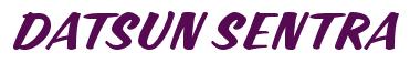 Rendering -DATSUN SENTRA - using Casual Script