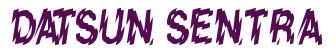 Rendering -DATSUN SENTRA - using Nervous