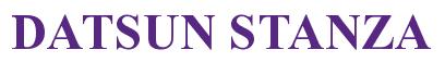 Rendering -DATSUN STANZA - using Times New Roman Bold