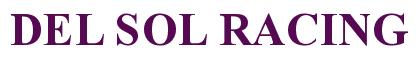 Rendering -DEL SOL RACING - using Times New Roman Bold