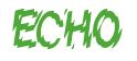 Rendering -ECHO - using Nervous
