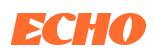 Rendering -ECHO - using Constantine