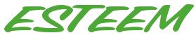 Rendering -ESTEEM - using Chicago Style