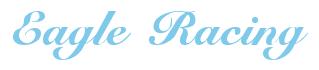 Rendering -Eagle Racing - using Elegant