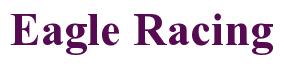 Rendering -Eagle Racing - using Times New Roman Bold