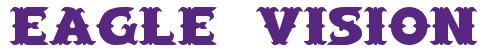 Rendering -Eagle VISION - using Saloon