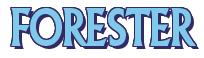 Rendering -FORESTER - using Flair