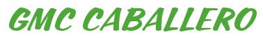 Rendering -GMC CABALLERO - using Casual Script