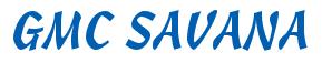 Rendering -GMC SAVANA - using Hind
