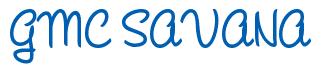 Rendering -GMC SAVANA - using League Night
