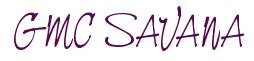 Rendering -GMC SAVANA - using Neville Script