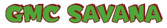 Rendering -GMC SAVANA - using Team Spirit