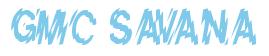Rendering -GMC SAVANA - using Nervous