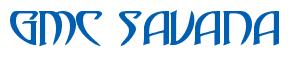 Rendering -GMC SAVANA - using Saga