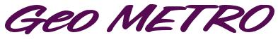 Rendering -Geo METRO - using Chicago Style
