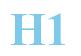 Rendering -H1 - using Times New Roman Bold