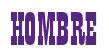 Rendering -HOMBRE - using Bill Board