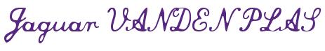 Rendering -Jaguar VANDEN PLAS - using Commercial Script