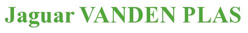 Rendering -Jaguar VANDEN PLAS - using Times New Roman Bold