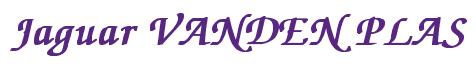 Rendering -Jaguar VANDEN PLAS - using Zapf Chancery