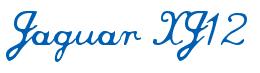 Rendering -Jaguar XJ12 - using Commercial Script