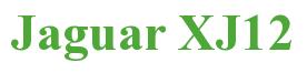 Rendering -Jaguar XJ12 - using Times New Roman Bold