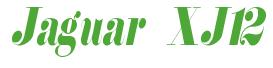 Rendering -Jaguar XJ12 - using Floral 