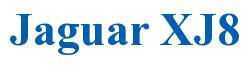 Rendering -Jaguar XJ8 - using Times New Roman Bold