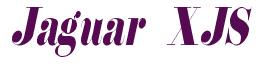 Rendering -Jaguar XJS - using Floral 