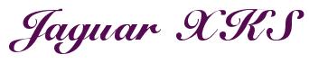 Rendering -Jaguar XKS - using Elegant