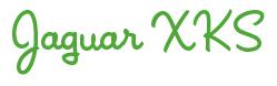 Rendering -Jaguar XKS - using League Night