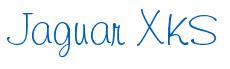 Rendering -Jaguar XKS - using Freehand 591