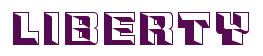 Rendering -LIBERTY - using Race JLS