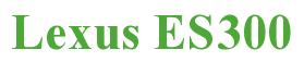 Rendering -Lexus ES300 - using Times New Roman Bold