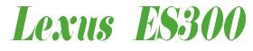 Rendering -Lexus ES300 - using Floral 