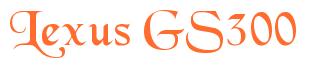 Rendering -Lexus GS300 - using Black Chancery