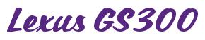 Rendering -Lexus GS300 - using Casual Script