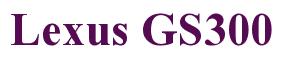 Rendering -Lexus GS300 - using Times New Roman Bold