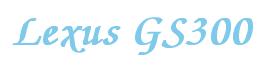 Rendering -Lexus GS300 - using Zapf Chancery