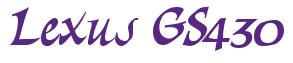 Rendering -Lexus GS430 - using Braveheart
