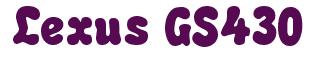 Rendering -Lexus GS430 - using Bubble Soft
