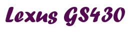 Rendering -Lexus GS430 - using Un Gard