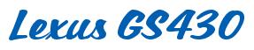 Rendering -Lexus GS430 - using Casual Script