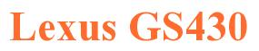 Rendering -Lexus GS430 - using Times New Roman Bold
