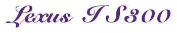 Rendering -Lexus IS300 - using Elegant
