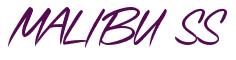 Rendering -MALIBU SS - using Speed Stroke